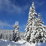 Jelena Jahorina