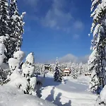 Konukevi Jelena