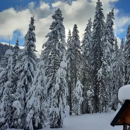 Penzion Jelena Jahorina