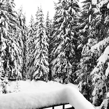 Penzion Jelena Jahorina