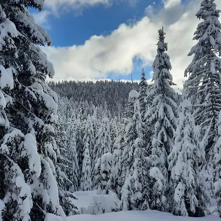 Jelena Penzion Jahorina