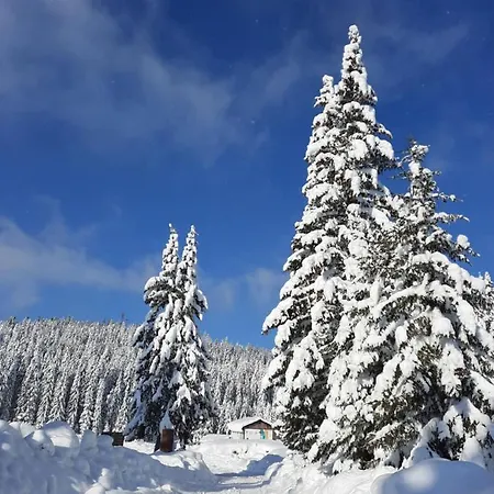 Jelena Jahorina